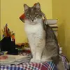 Отзыв от Динара Литвинова